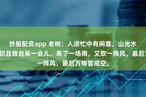 炒股配资app 老树：人须忙中有闲意，山光水色在心中。你且独自呆一会儿，来了一场雨，又吹一阵风，最后万物皆成空。